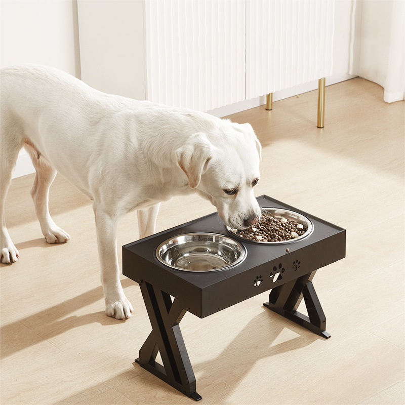 The Ultimate Pet Bowl for Your Furry Friend
